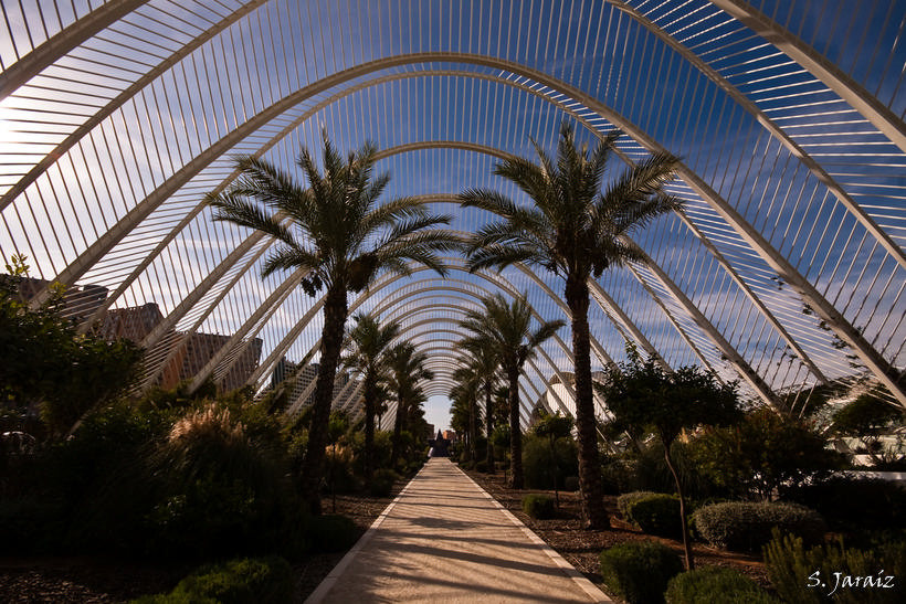 L'Umbracle