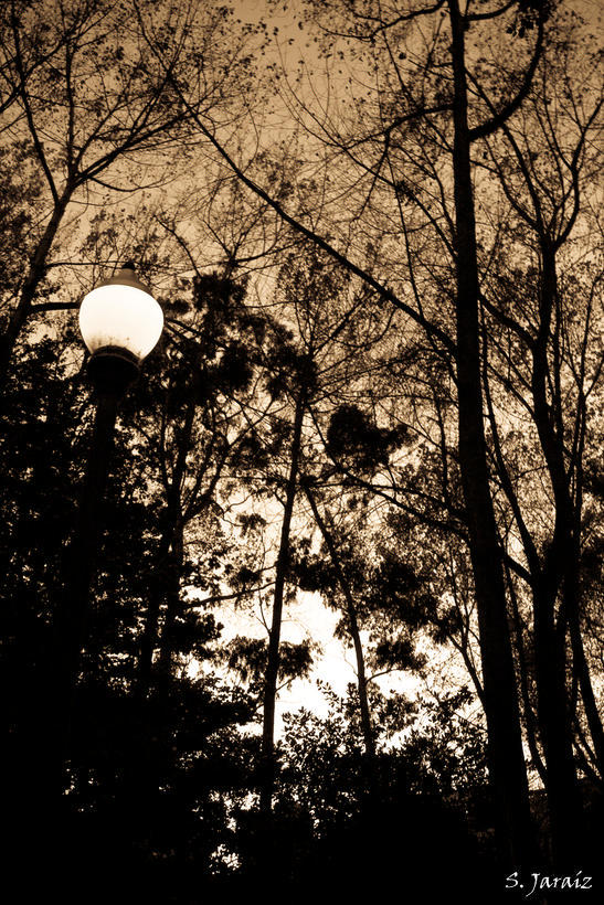 Luz de otoño