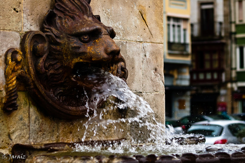León